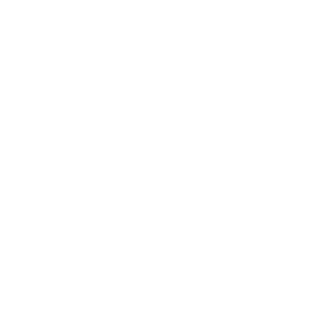 2_icono-01