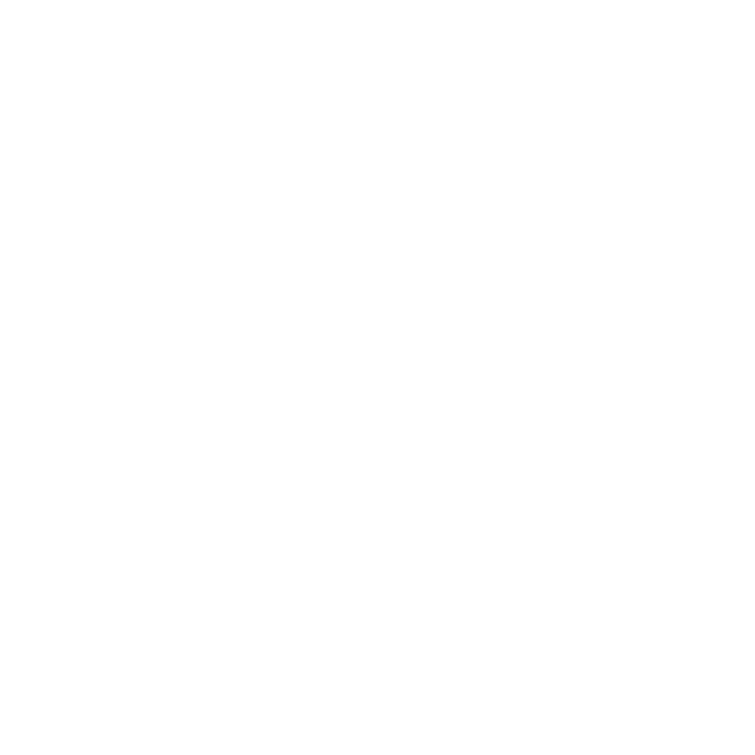 2_icono-02